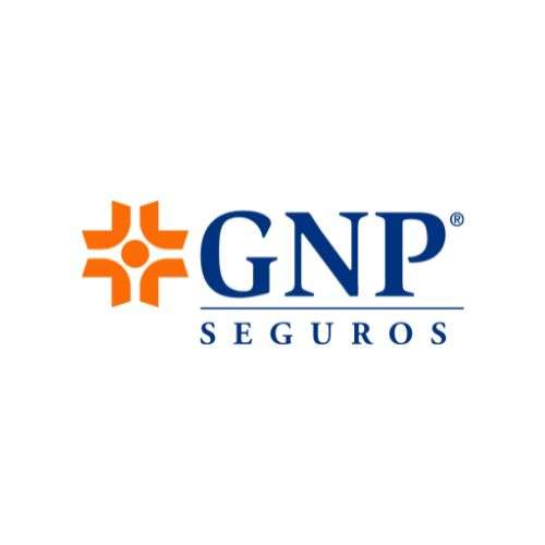 GNP (Grupo Nacional Provincial)